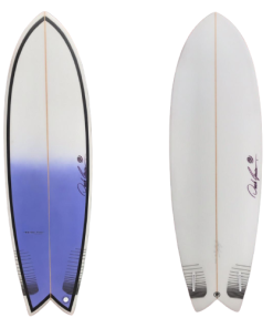 DGS Model Retro Twin 5´9"