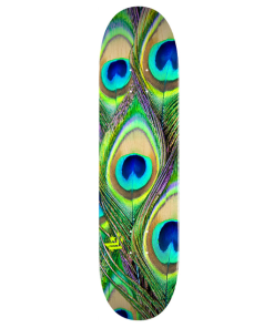 Mini Logo Peacock Feather 8.25