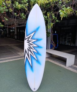DGS Twin Fin 6.6"